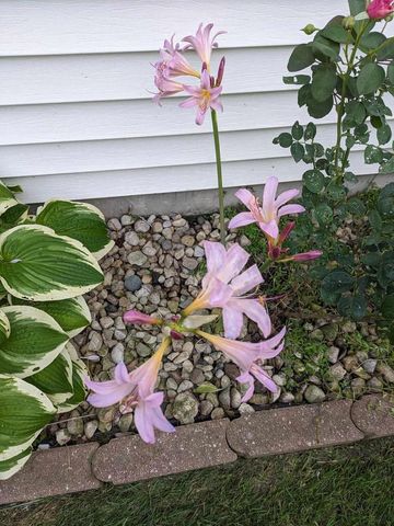 901 Innisbrook Court, Waunakee, WI 53597