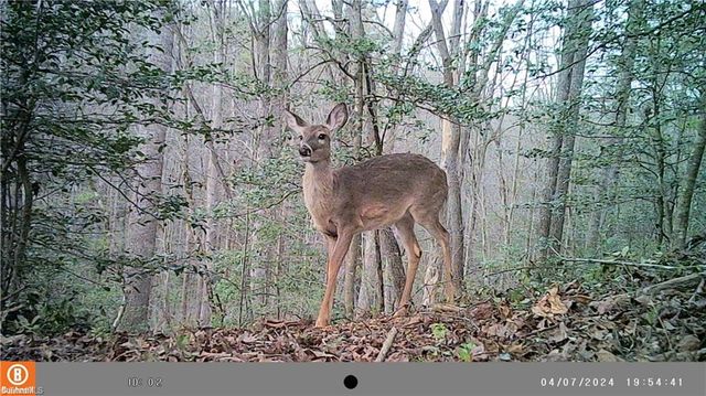 1261 Turkey Ford Road, Mount Airy, NC 27030