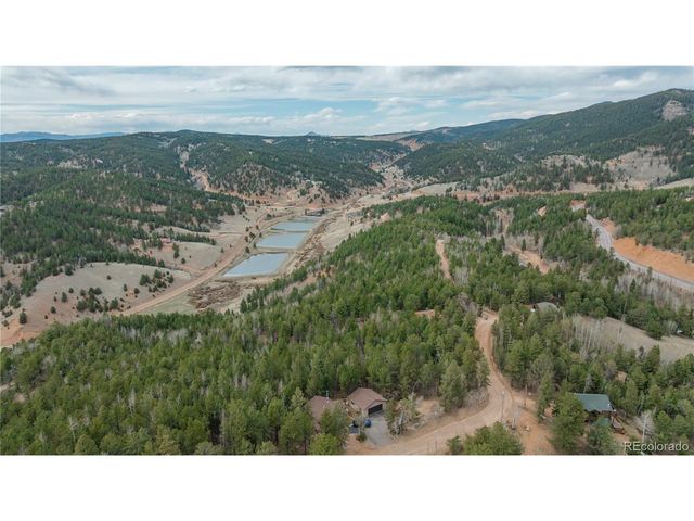 881 Timber Ridge Rd, Divide, CO 80814
