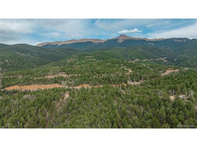 881 Timber Ridge Rd, Divide, CO 80814