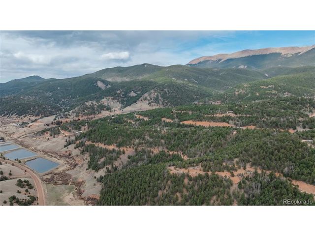 881 Timber Ridge Rd, Divide, CO 80814