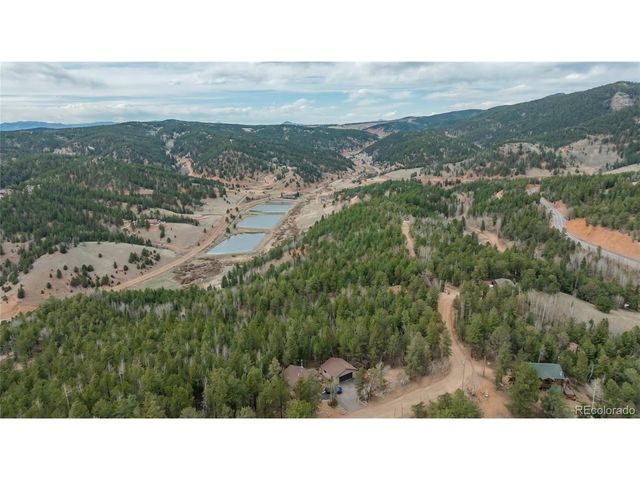 881 Timber Ridge Rd, Divide, CO 80814