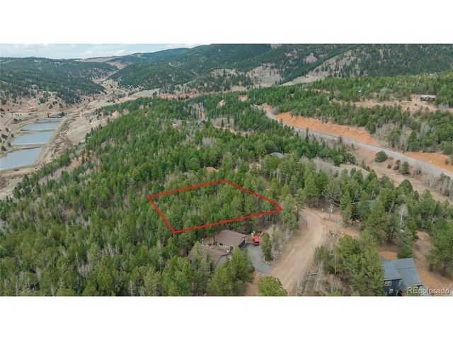 881 Timber Ridge Rd, Divide, CO 80814