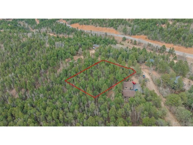 881 Timber Ridge Rd, Divide, CO 80814