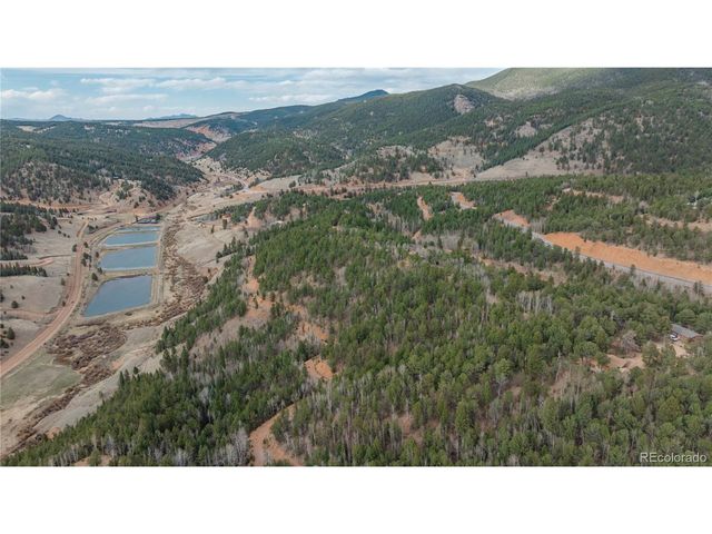 881 Timber Ridge Rd, Divide, CO 80814
