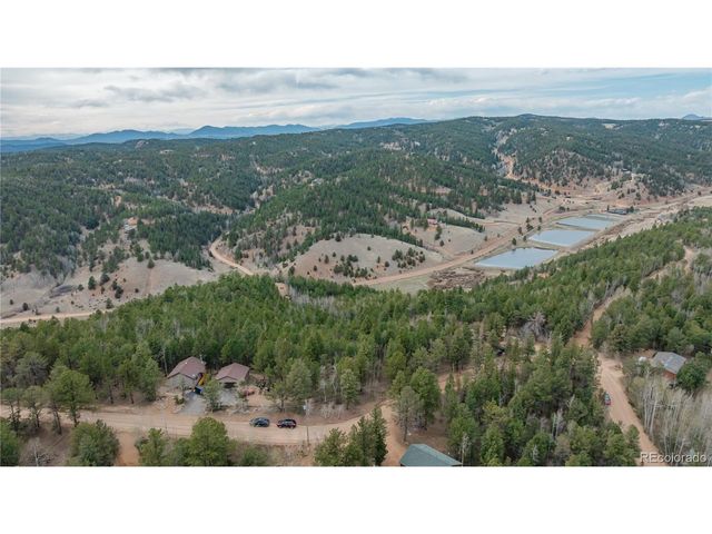 881 Timber Ridge Rd, Divide, CO 80814