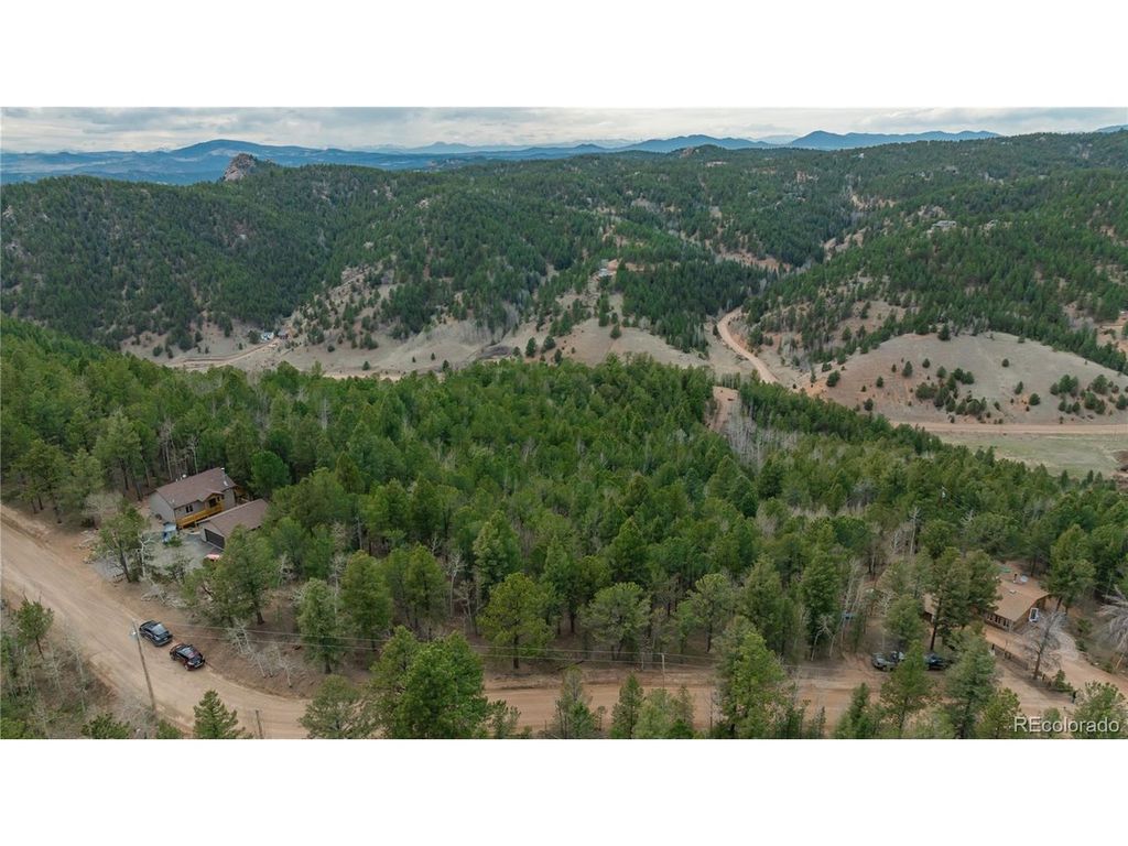 881 Timber Ridge Rd, Divide, CO 80814