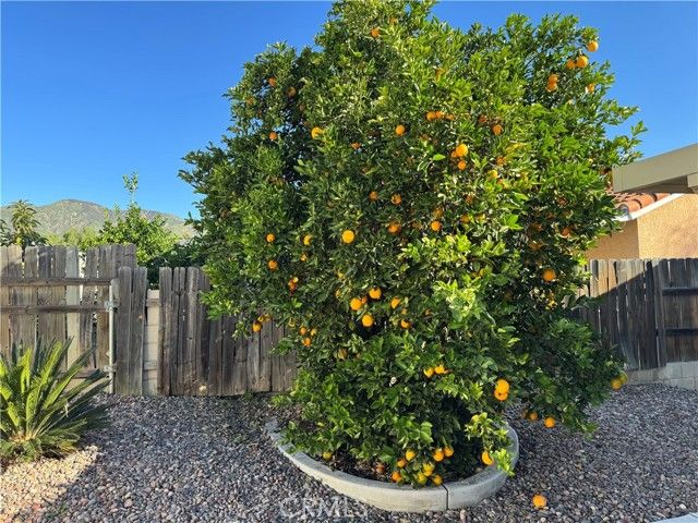 1614 Buckeye, Highland, CA 92346