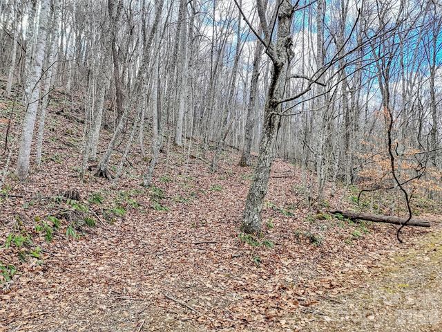 Lot 4D Pelican Place, Waynesville, NC 28786