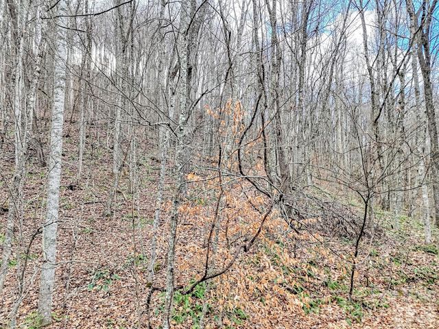 Lot 4D Pelican Place, Waynesville, NC 28786