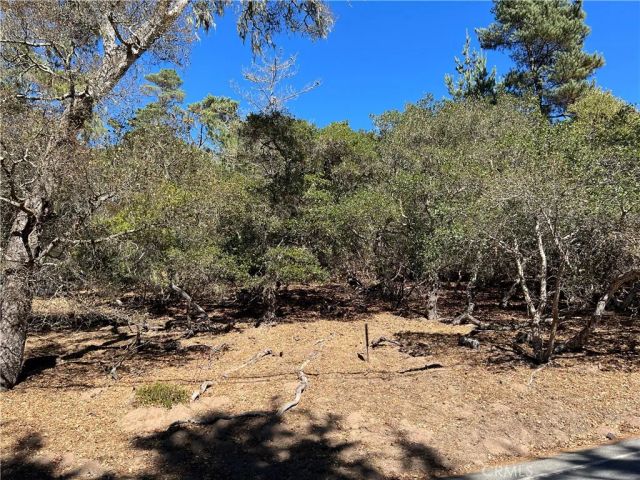 2275 Leona, Cambria, CA 93428