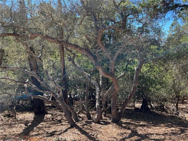 2275 Leona, Cambria, CA 93428