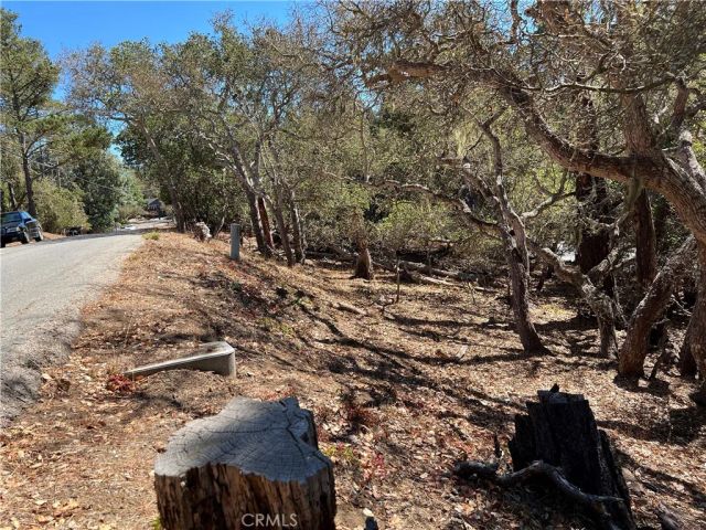 2275 Leona, Cambria, CA 93428