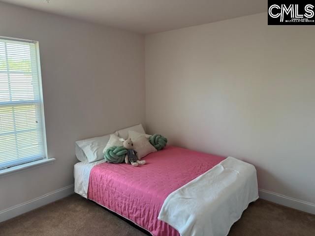 41 Carlisle Lane, Camden, SC 29020