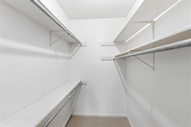 6103 Smith Oak TRL, Austin, TX 78749
