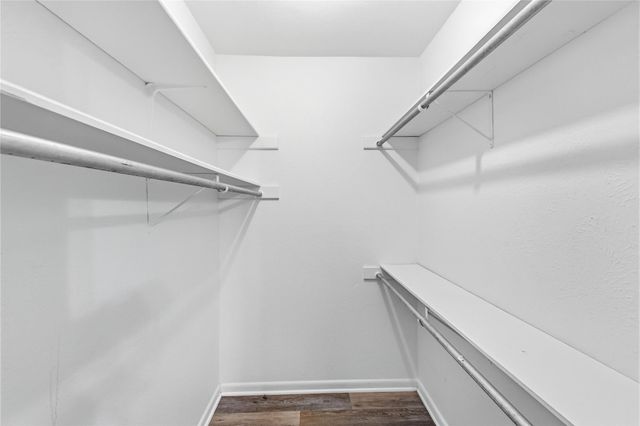 6103 Smith Oak TRL, Austin, TX 78749