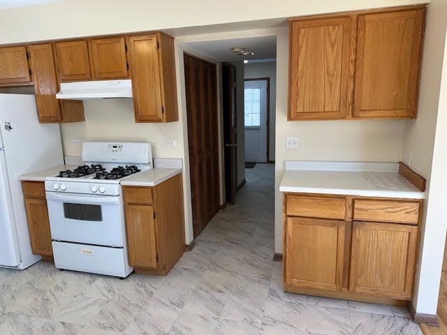 1217 Regent Drive, Mundelein, IL 60060