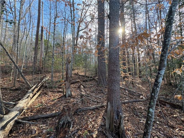 617 The Bear Boulevard, Tamassee, SC 29686