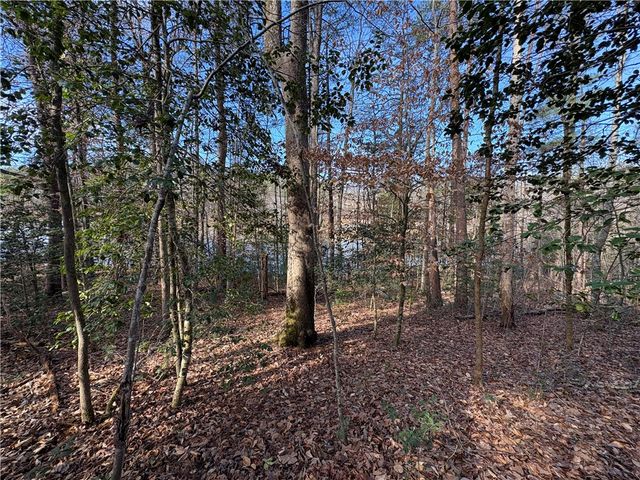 617 The Bear Boulevard, Tamassee, SC 29686