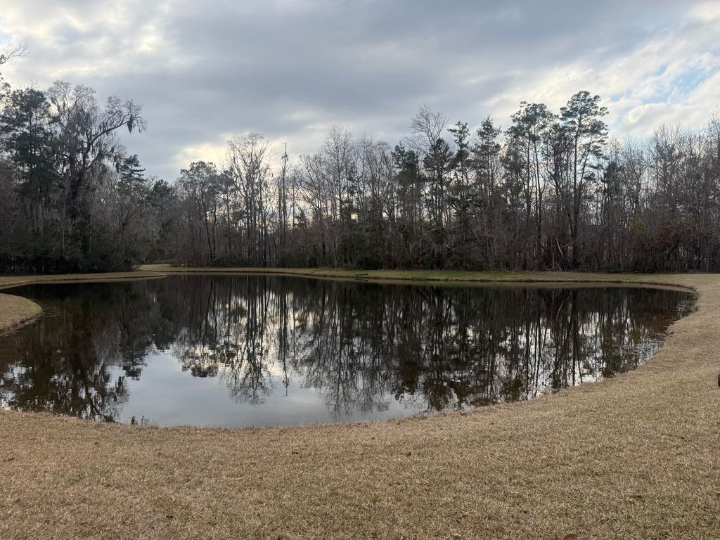 Image 3 of property listing at 1573 Ashley Garden Boulevard, Charleston, SC 29414