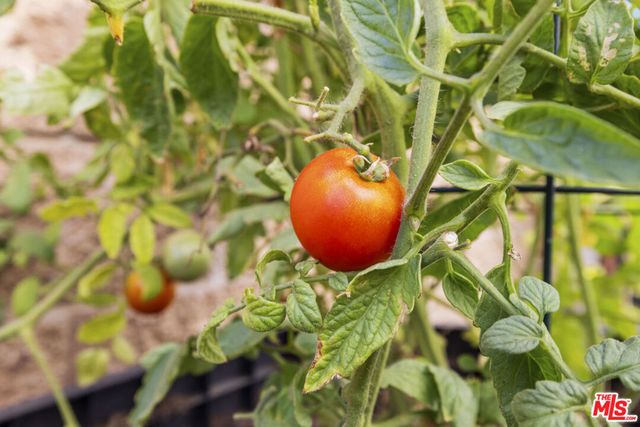 20211 W Liverpool Way, Porter Ranch, CA 91326