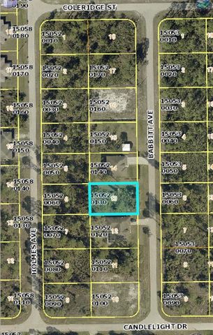 858 Babbit Ave, Lehigh Acres, FL 33974