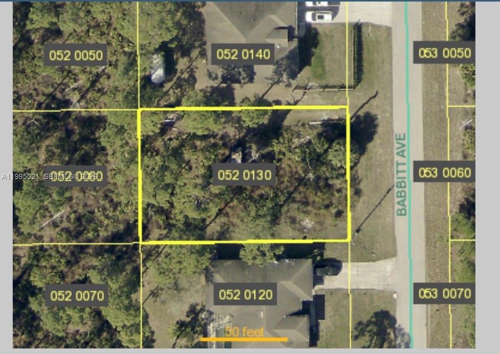 858 Babbit Ave, Lehigh Acres, FL 33974