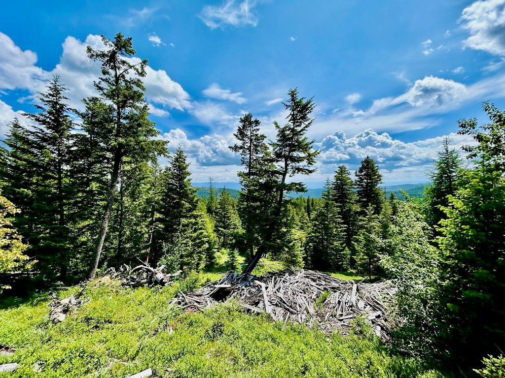 Image 1 of property listing at NHN McMannamy Draw, Kalispell, MT 59901