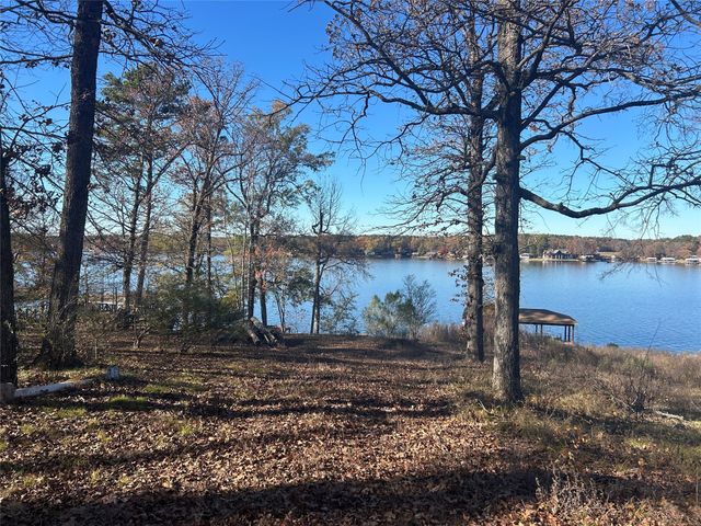 115 Sandy Top Road, Scroggins, TX 75480