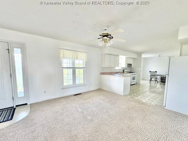 772 Fairview Lane, Given, WV 25245