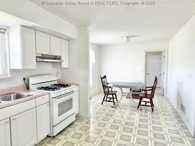 772 Fairview Lane, Given, WV 25245