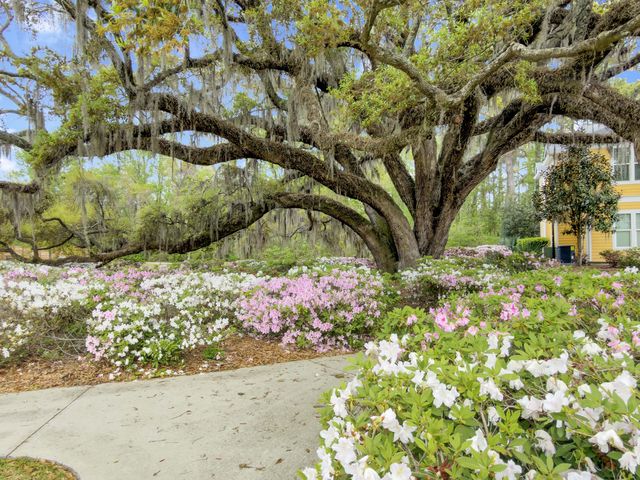 2432 Chatelain Way, Mount Pleasant, SC 29464