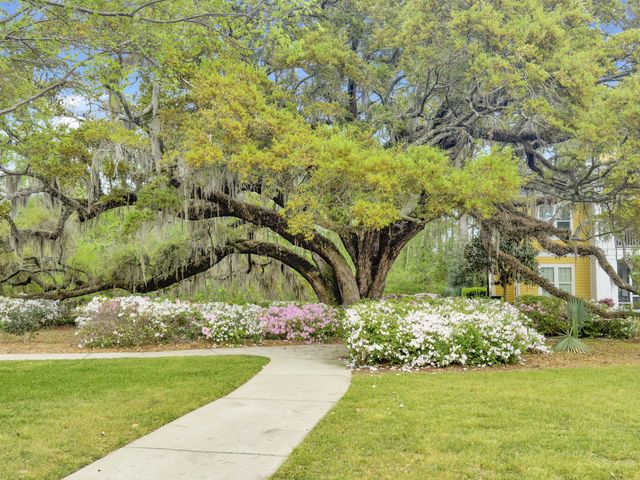 2432 Chatelain Way, Mount Pleasant, SC 29464