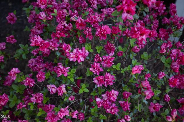 1317 Hill Street, Durham, NC 27707