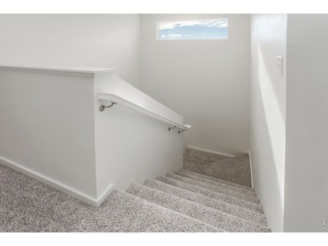 4904 Autumn Leaf Dr, Timnath, CO 80547