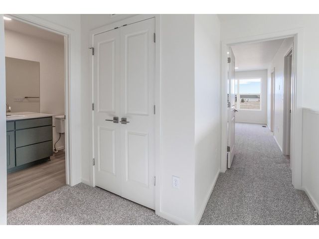 4904 Autumn Leaf Dr, Timnath, CO 80547