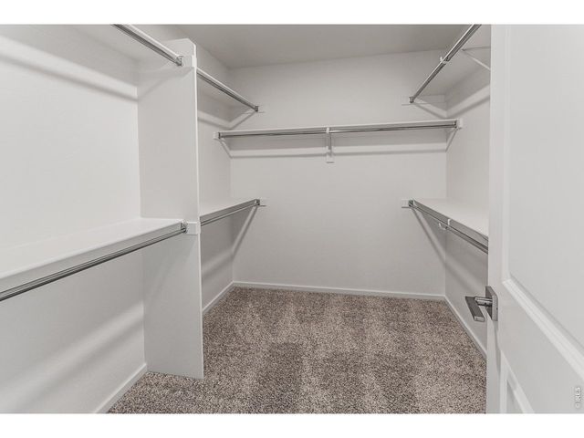 4904 Autumn Leaf Dr, Timnath, CO 80547