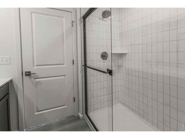 4904 Autumn Leaf Dr, Timnath, CO 80547