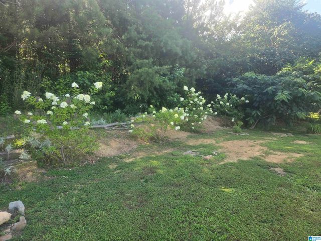 4905 COUNTY HIGHWAY 1, Cleveland, AL 35049