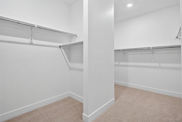 3438 Backdrop Court, Castle Rock, CO 80108