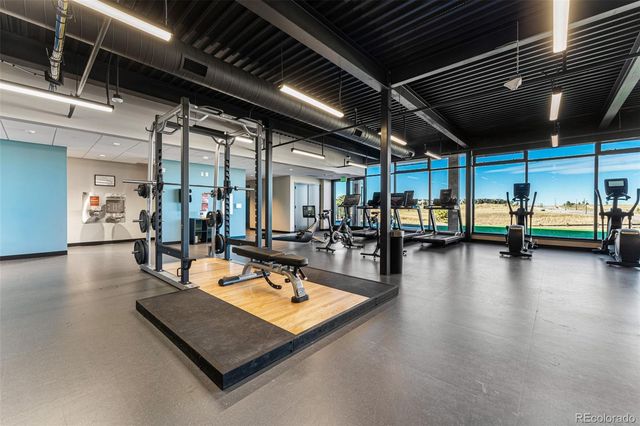 3438 Backdrop Court, Castle Rock, CO 80108