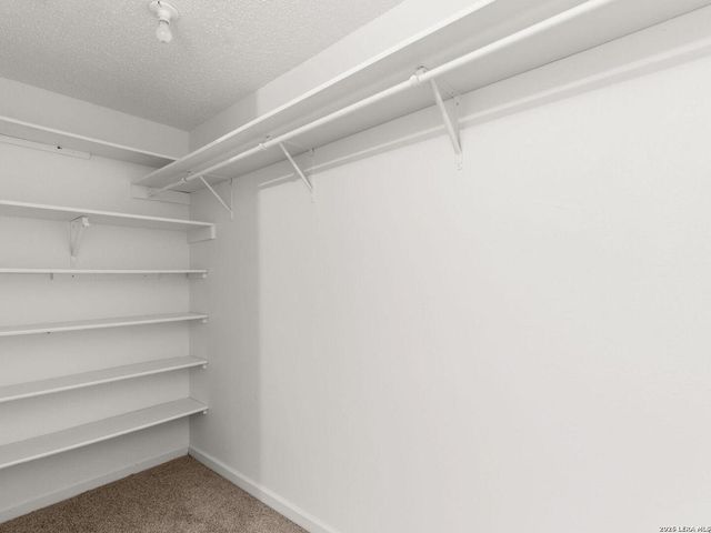 13042 Maple Park, San Antonio, TX 78249