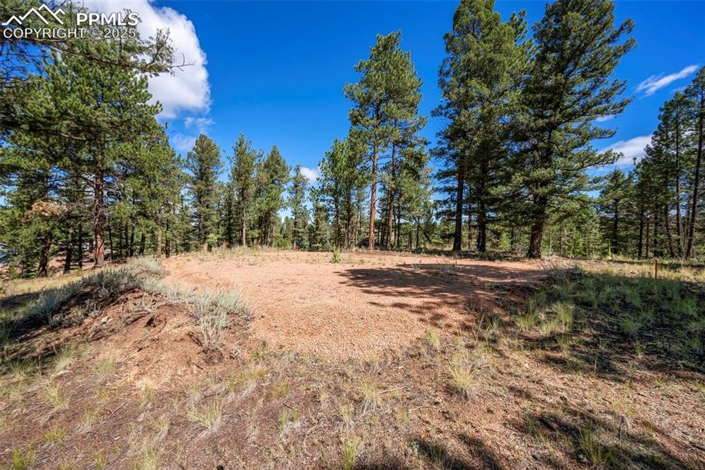 210 Donzi Trail, Florissant, CO 80816