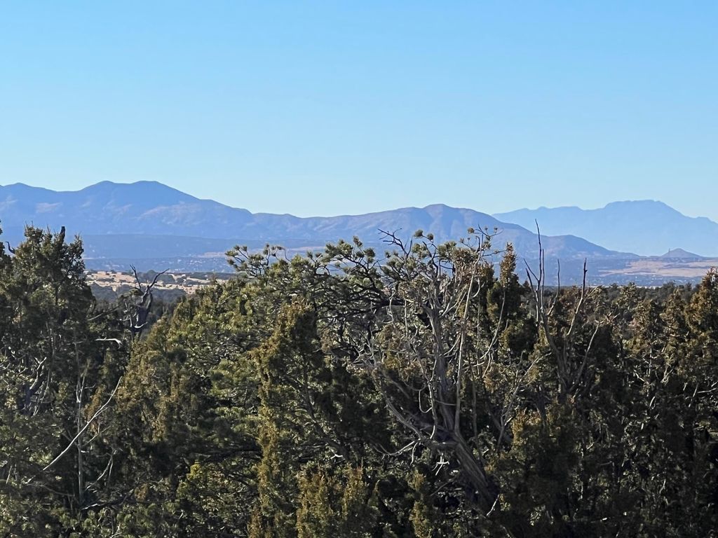 1957 DEER CANYON Trail, Mountainair, NM 87036