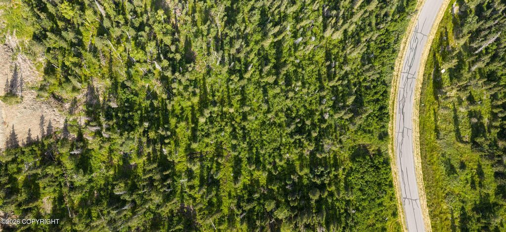 L4 Mountain Air Drive, Anchorage, AK 99516