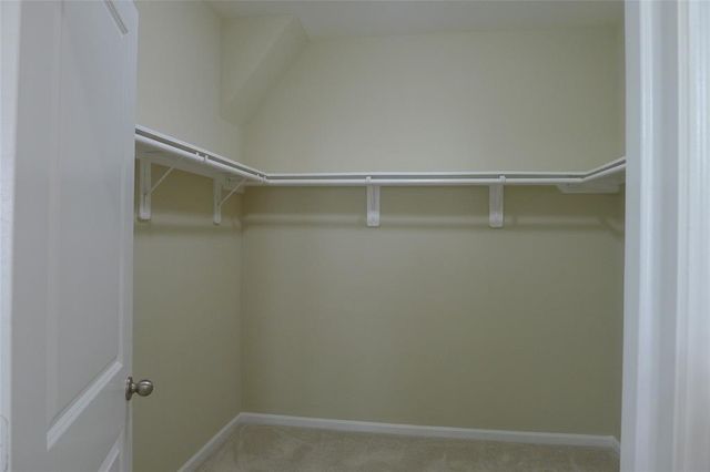 1025 Blue Beech Lane, Brookshire, TX 77423