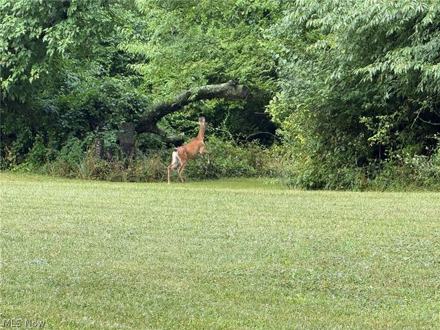 980 Killinger Road, Clinton, OH 44216