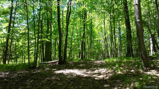 3957 Mill Lake Road, Orion Charter Township, MI 48360