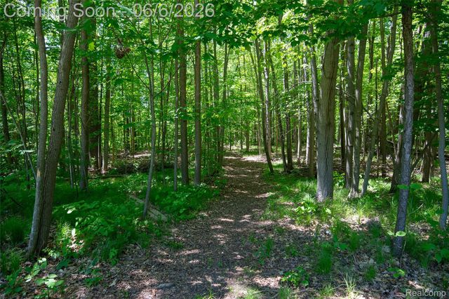 3957 Mill Lake Road, Orion Charter Township, MI 48360