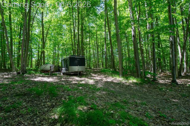 3957 Mill Lake Road, Orion Charter Township, MI 48360